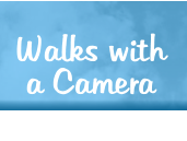 Walks with a Camera