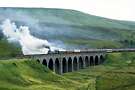 Mallard at Garsdale