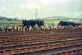 Carnforth - 2073 and 44871