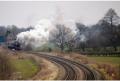 48151 - steaming well