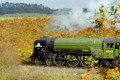 Apple green and autumn tints