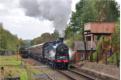 On the bank at Eardington station