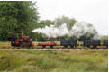 Jennie the Wren on the freight