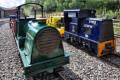 Shropshire locos (Lilleshall and Llanforda)