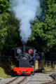 Stanhope approaches with the passenger train