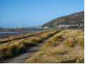 A line through the dunes