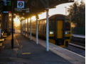 Golden lining at Machynlleth