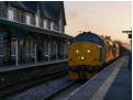 Timber train at sunset