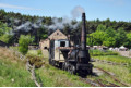 Steam Elephant. Pockerley