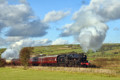 George Stephenson near Ipstones