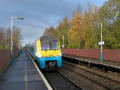 Autumn sunshine at Shotton