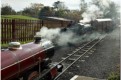 A pair of Suttons - Belle stands as Flyer arrives