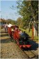 &quot;Sutton Belle&quot; heads away from Kingsway terminus