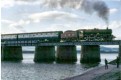 Leander at Arnside