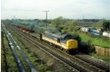 37 420 &quot;The Scottish Hosteller&quot; at Willington