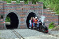 5026 and 61033 emerge from the tunnel