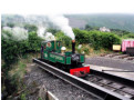 &quot;Yeo&quot; on the sector plate at Fairbourne