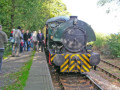 Ready to depart from Dilhorne Park