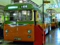 Trolleybus TBS13