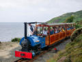 First train: Otter arrives at Sea Lion Rocks