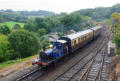 Bluebell in the Severn valley