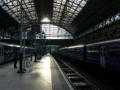 Evening light at Piccadilly