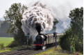 5690 "Leander" on Shinal bank, 2 October 2010