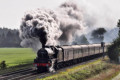 5690 "Leander" on Shinal bank, 2 October 2010