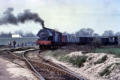 The sidings beside the M6 (former canal wharf?)