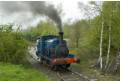 Rural railway - running round