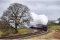 The Midlander - 45407 and 44871 at All Stretton