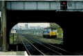 Small Heath - NSE-liveried 50 on the line from St Andrews junction