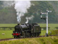 Steam in the drizzle at Carrog