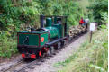 The Garratt on the freight