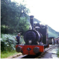 Dolgoch at Abergynolwyn