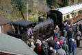 Bellerophon basks in admiration, Bewdley