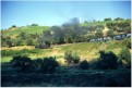 A narrow gauge train heads away from Regua