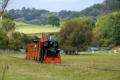 Tracks through the grassland