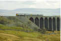 More variety - hmmm. Northbound DMU, Ribblehead