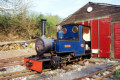 Merlin stands outside the shed