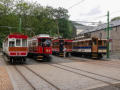 MER and SMR - full house at Laxey