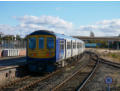 769424 leaves Southport