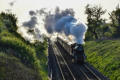 7029 "Clun Castle" steams out of the sun near Preston Boats