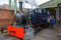 Gelert in steam again