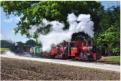 GP39 and Max at Oak Tree