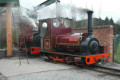 Irish Mail and Lady Joan prepare to work the double-header