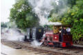 Steam at Oak Tree