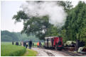 GP39 and brollies