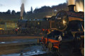 Dusk in the shed yard