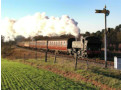 1501 approaches the tunnel, making light work of the bank